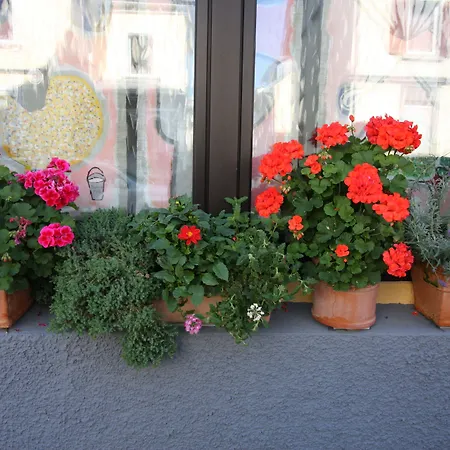 Stadthotel Kleiner Berg 2* Friedrichshafen