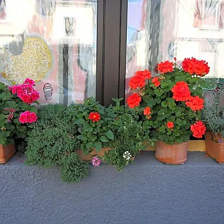 Stadthotel Kleiner Berg 2*