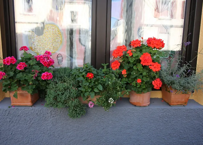 Stadthotel Kleiner Berg 2* Friedrichshafen